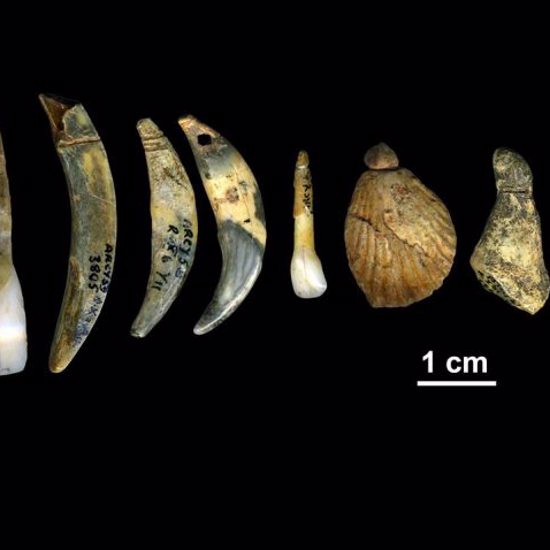 Neanderthals Made Ancient Jewelry, New Evidence Shows