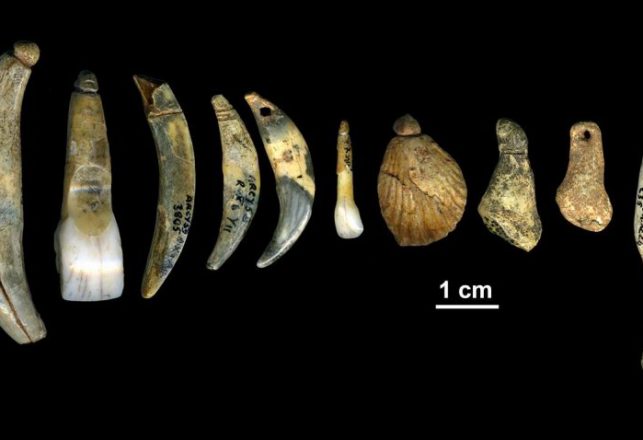 Neanderthals Made Ancient Jewelry, New Evidence Shows