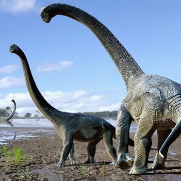 Newly Discovered Giant Dinosaurs Crossed Continents