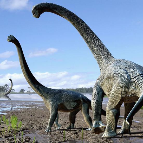 Newly Discovered Giant Dinosaurs Crossed Continents
