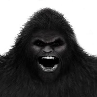 Sasquatch, Sound and Strange Effects