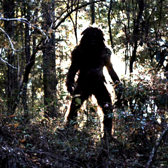 Man Beasts in Britain: The Trouble With Sasquatch Reports in the British Isles