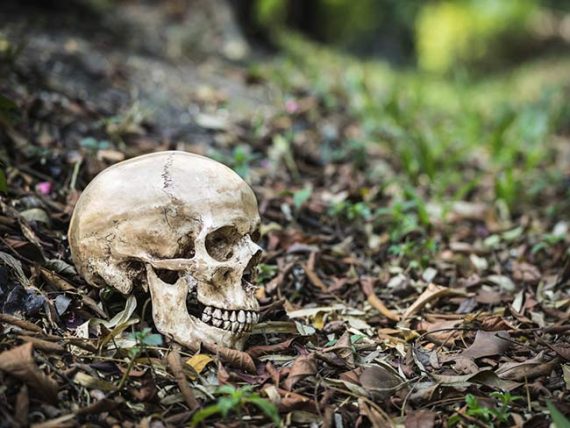 mi-skeleton-skull-woods-forest-creepy-shakespearean-getty