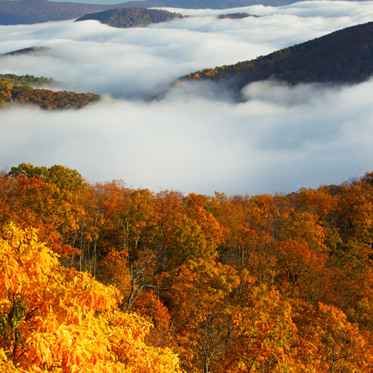 Exploring American Monsters: Tennessee