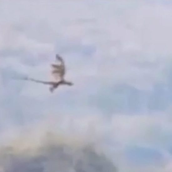 Video of Dragon Flying in China Has Many Mystified