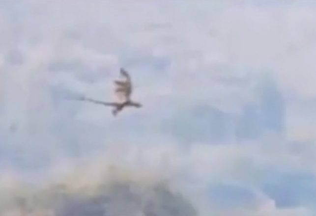 Video of Dragon Flying in China Has Many Mystified