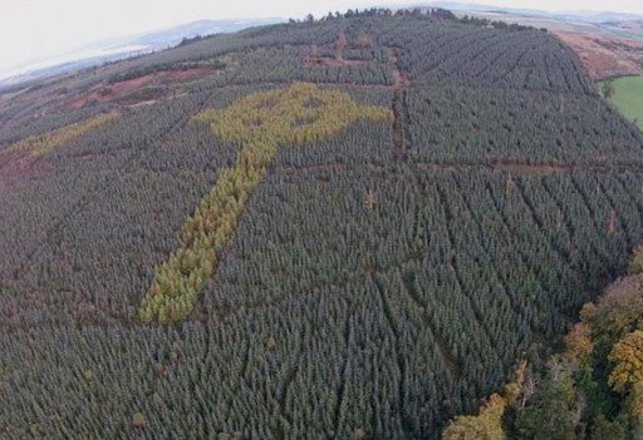 Mysterious Giant Celtic Cross Discovered In Irish Forest