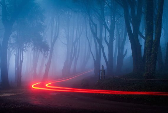 lights-landscape-forest-fog-road-dawn-picture-desktop
