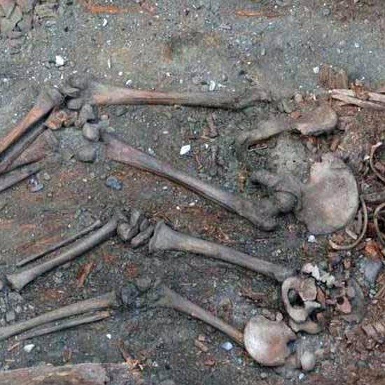 Mysterious Headless Skeletons Found in Old Siberian Grave