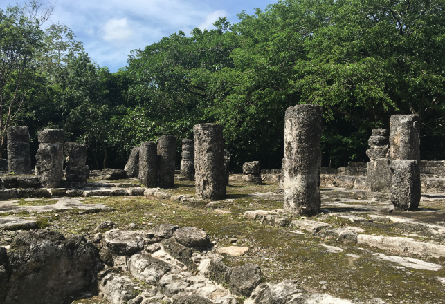 Hidden in Stone: The Architectural Mysteries of the Mayan Empire