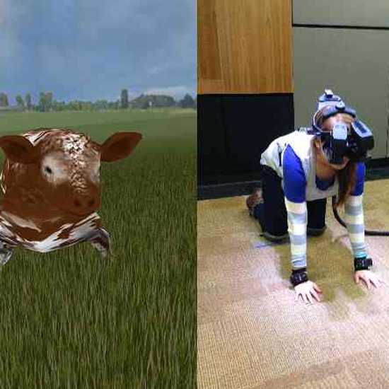 Experience Life As A Doomed Cow To Save The Planet