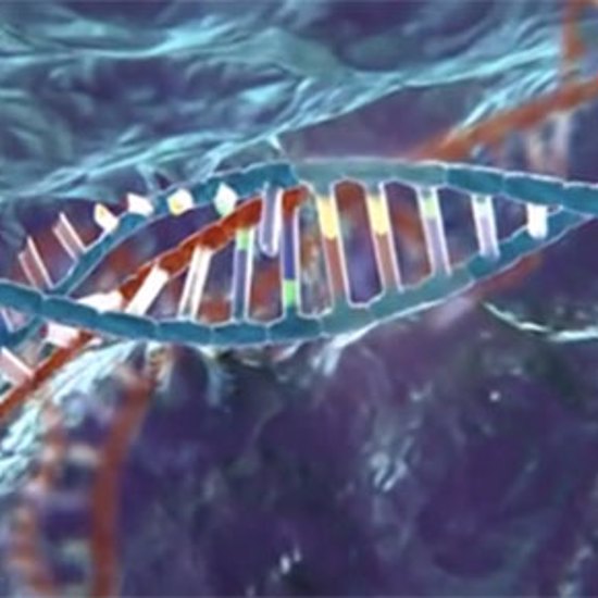 CRISPR Gene Editing Tested in a Human for the First Time