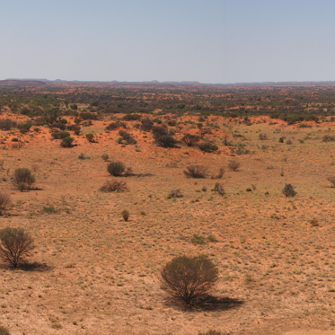 Ancient Australian Site Shows New Evidence of 49,000-Year-Old Human Settlement