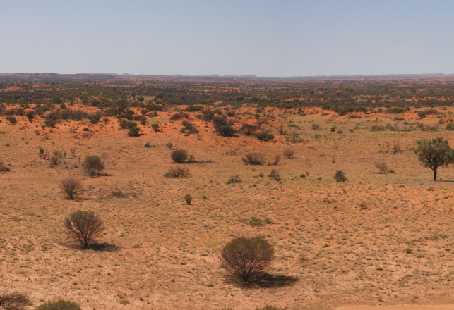 Ancient Australian Site Shows New Evidence of 49,000-Year-Old Human Settlement