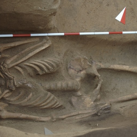 Mysterious Shackled Skeleton Found In Ancient Etruscan Tomb
