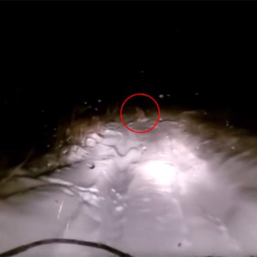 Siberian Yeti Caught on Camera May be Shape-Shifting Shurale