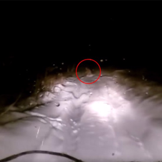 Siberian Yeti Caught on Camera May be Shape-Shifting Shurale