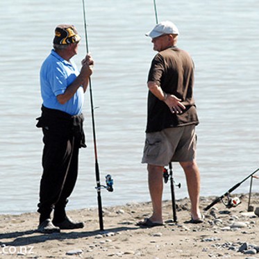 Salmon Die Quickly in New Zealand River and No One Knows Why