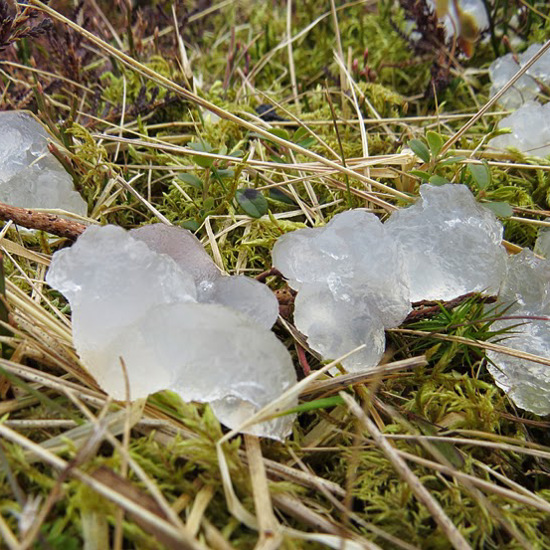 Unexplained “Star Jelly” Slime Found In English Countryside