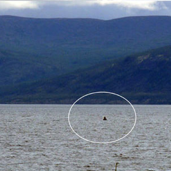 New Sightings of a Monster in Siberia’s Lake Labynkyr