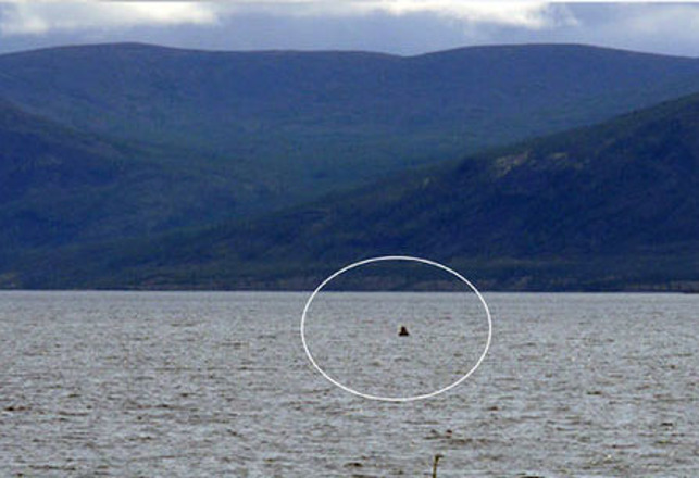 New Sightings of a Monster in Siberia’s Lake Labynkyr