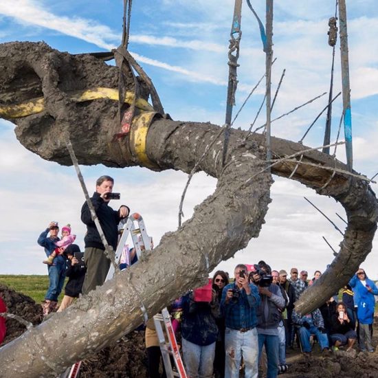Mankind’s Mammoth-Sized Mystery In Michigan