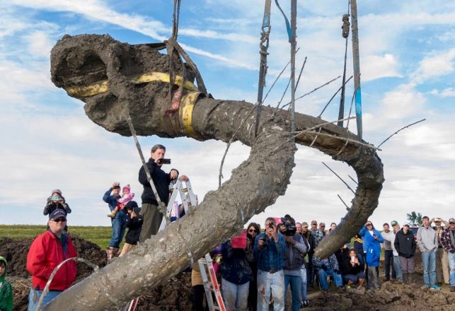 Mankind’s Mammoth-Sized Mystery In Michigan