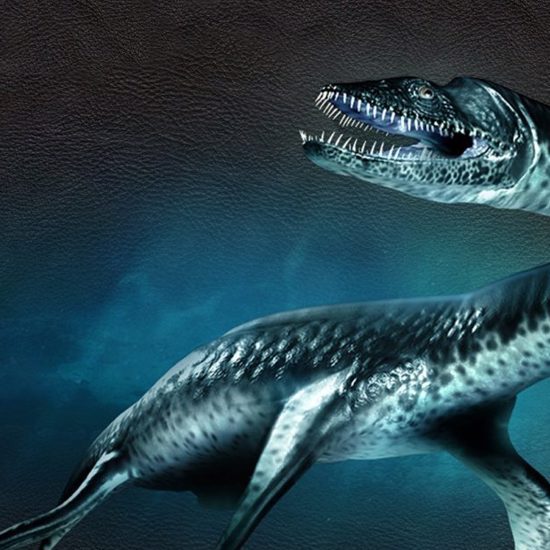 The Reasons Why Lake Monsters are Not Plesiosaurs and Never Will Be