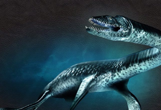 The Reasons Why Lake Monsters are Not Plesiosaurs and Never Will Be