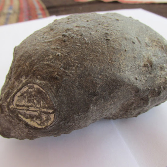 Strange Small Elongated Skull Found in Peru