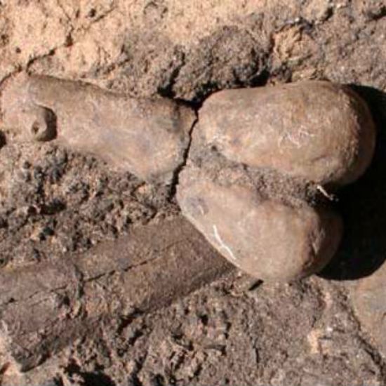 Ancient Arizona Fertility Statues Depict Gender Fluidity