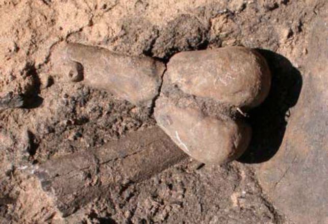 Ancient Arizona Fertility Statues Depict Gender Fluidity