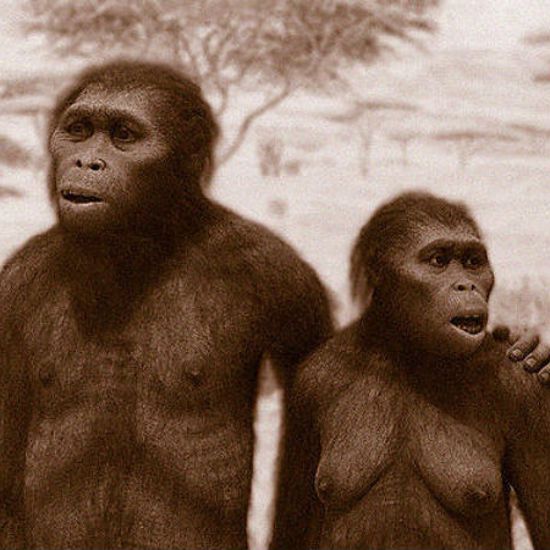 Ancient Footprints Show Australopithecus Was A Ladies’ Man