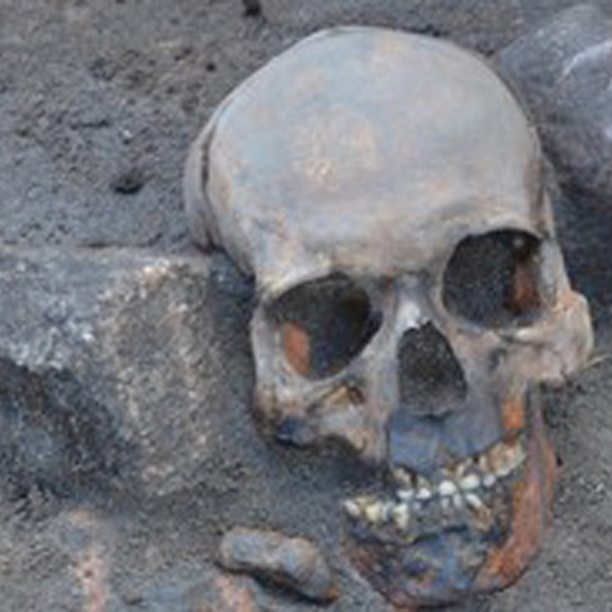 New and Strange Vampire Burials Found in Poland