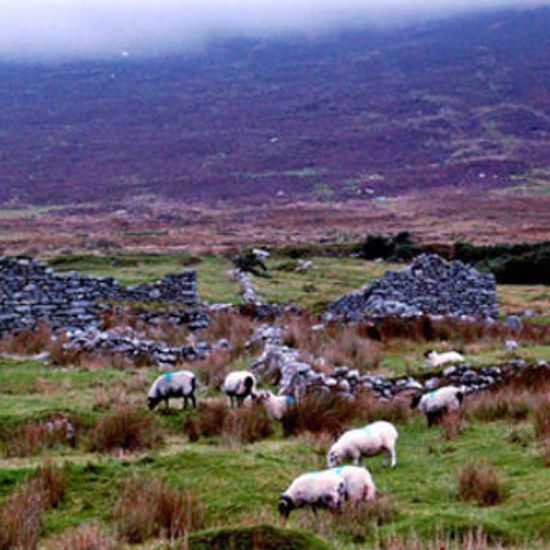 An Entire Irish Village Vanished And No One Knows Why