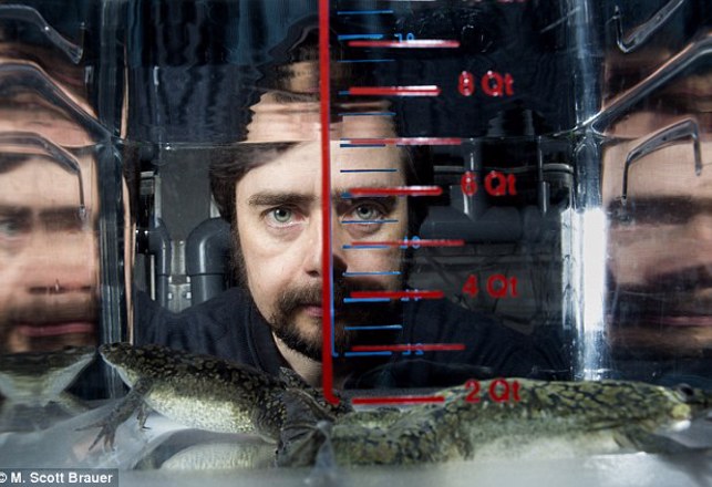 Modern Dr. Frankenstein Re-Wires Frogs to Grow Extra Limbs