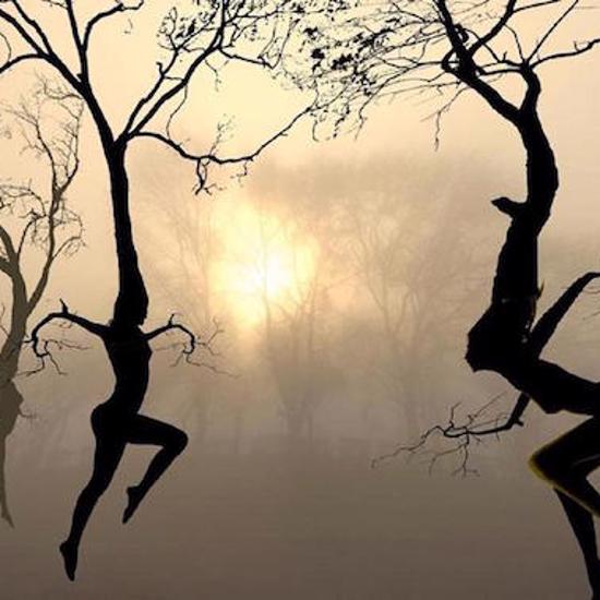 Haunted, Cursed, and Just Plain Mysterious Trees of the World