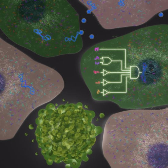 Scientists Hack Living Cells to Communicate with Electronics