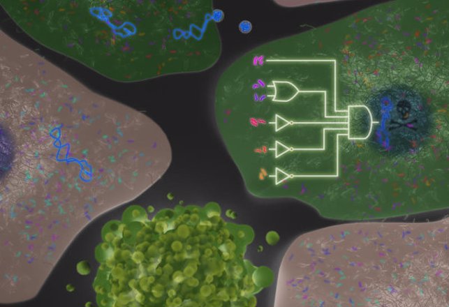 Scientists Hack Living Cells to Communicate with Electronics