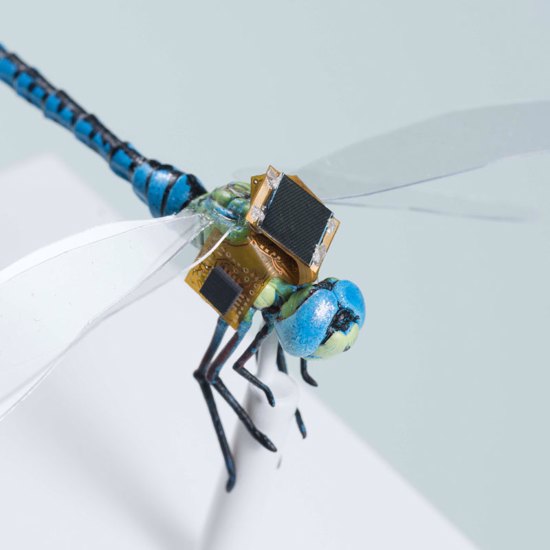 Cyborg Dragonfly Developed for Spying