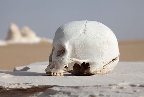 human-skulls-desert