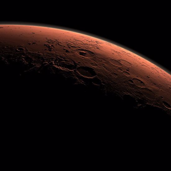 Scientists Sustain Microbes in Simulated Martian Atmosphere