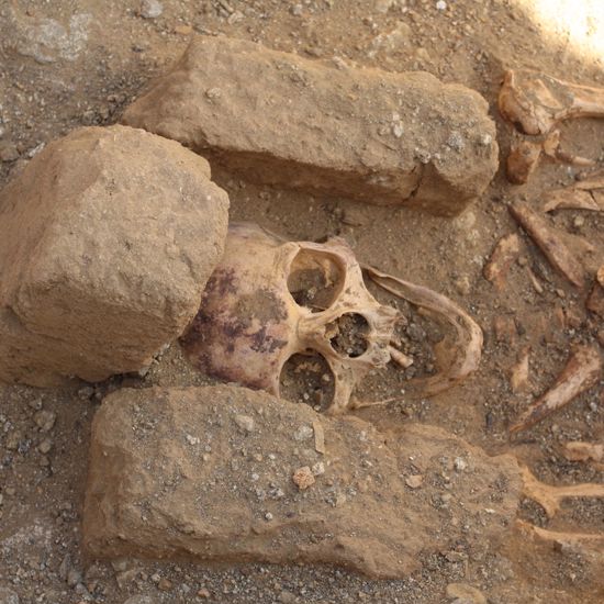 Mysterious Mass Grave at Medieval Monastery
