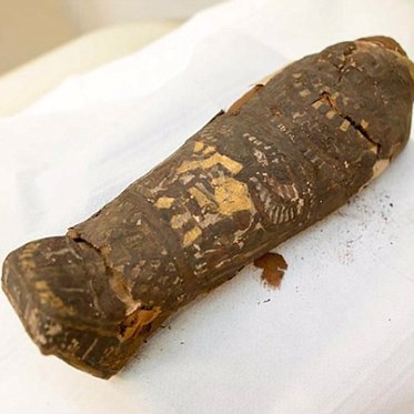 Egyptian Mummified Hawk Is Something More Mysterious