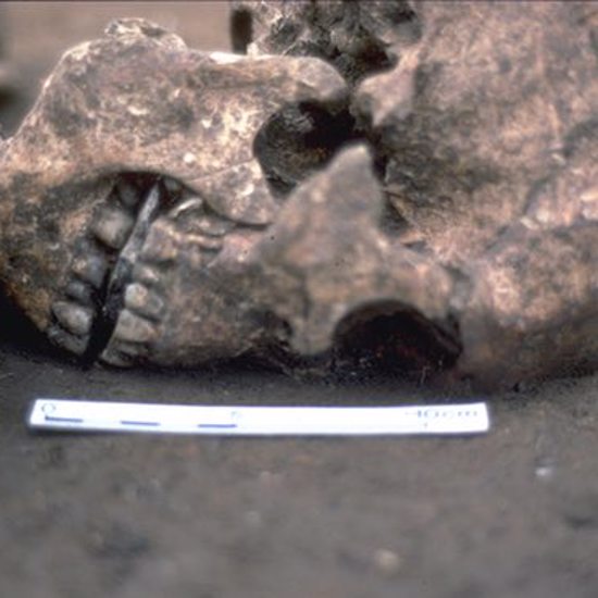 Ancient Skeleton Found Buried with Stone Replacing Tongue