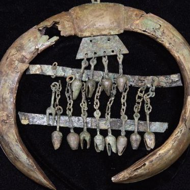 Hoard of Buried Treasure Discovered in Iron Age German Tomb