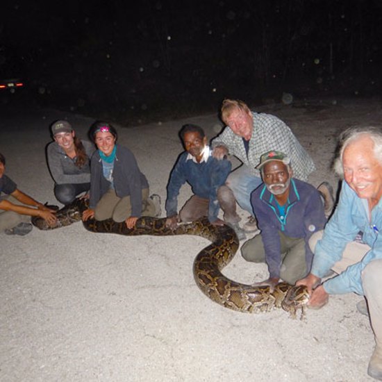 Indian Snake Catchers Are Ridding Florida of Burmese Pythons