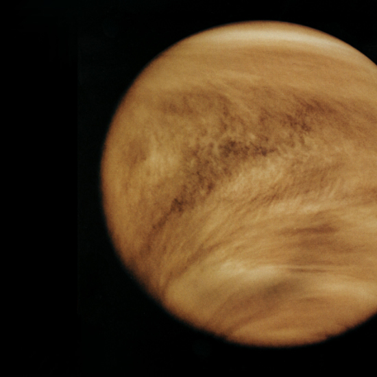 Dark Streaks on Venus May Be Signs of Life