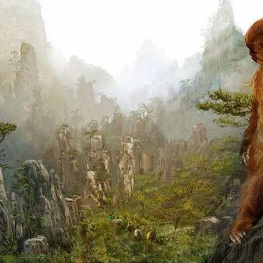 Profiling the Chinese Bigfoot