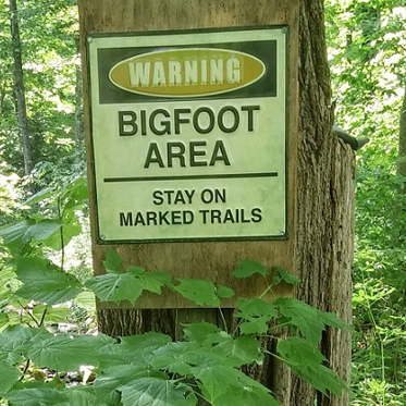 Washington Considers Bill Making Bigfoot Its State Cryptid